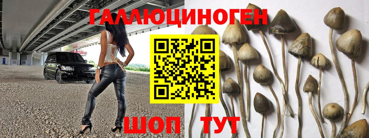 Галлюциногенные грибы Magic Shrooms Ипатово