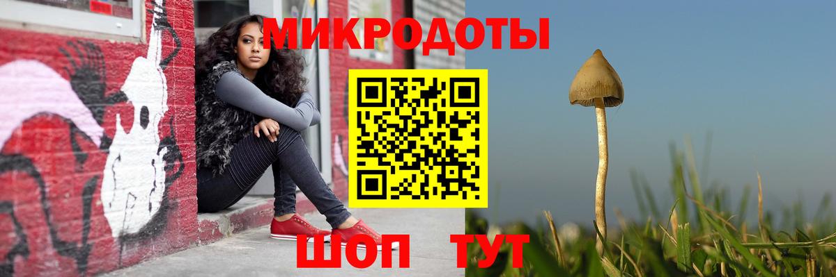 Галлюциногенные грибы Magic Shrooms  Вход с VPN  Ипатово  Псилоцибиновые грибы Psilocybe 
